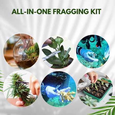 A2Z Scilab Coral Fragging Propagation 16 Pc Kit Cutters for Hard and Soft Coral in a Case A2Z-ZR-KIT-188